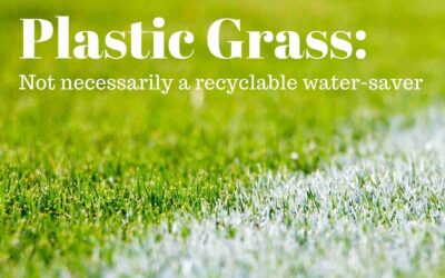 Plastic Grass