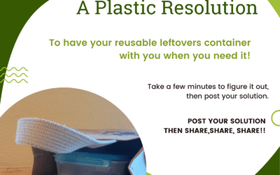 A Plastic Resolution