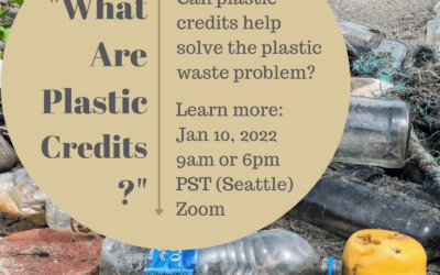 What are plastic credits ?