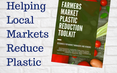 Helping Local Markets Reduce Plastics