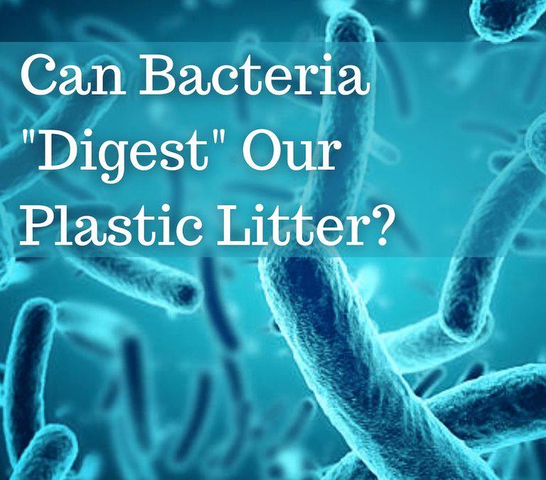 Can Bacteria digest plastics - plastic free waters