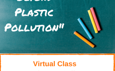 Beyond plastic pollution