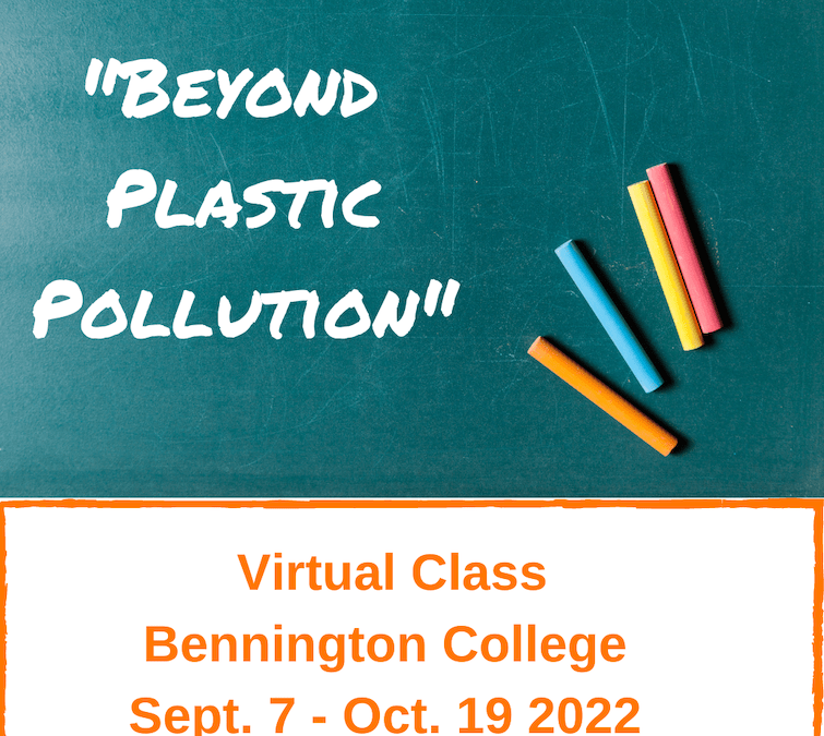 beyond plastic pollution