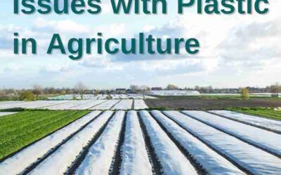 Issues with plastic in agricolture