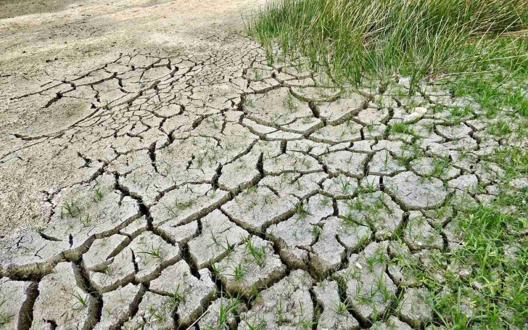 climate-change-plastic_free_waters
