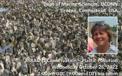 Demystifying Microplastics in Shellfish