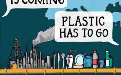 Report from Break Free From Plastic and the Center for International Environmental Law (CIEL)