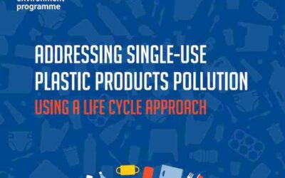 Addressing single-use plastic products pollutions