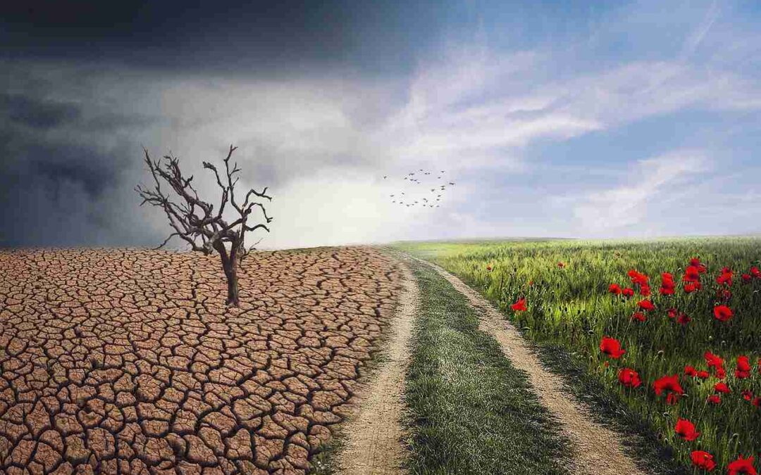 climate_change