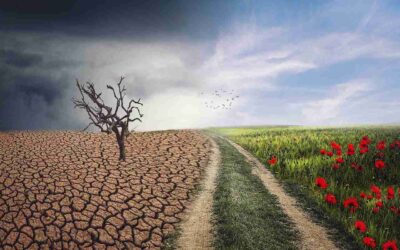 Can you reach net zero by 2050?