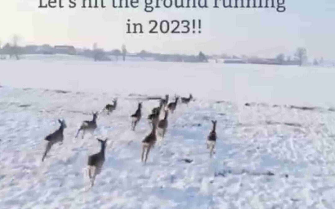 happynewyear2023