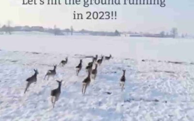 Happy new year 2023 !