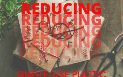 Reducing single-use plastic