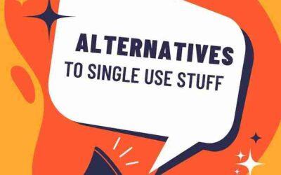 Single-use plastics in packaging and servingware