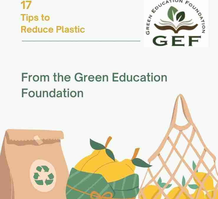 thegreeneducation