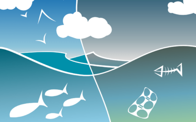 Which Countries Pollute the Most Ocean Plastic Waste?