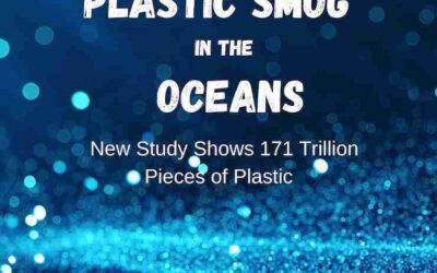 How much plastic is in the oceans? 