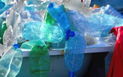 The Menace of Plastic Pollution: A Growing Environmental Crisis